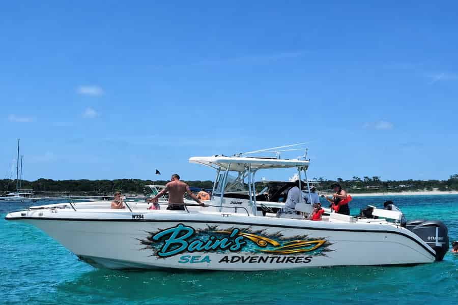 Nassau: Private Bootstour zu 3 Inseln mit Schweinen, Schildkröten & Schnorcheln. Foto: GetYourGuide