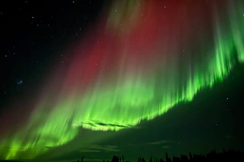 Kiruna: Nordlichter-Jagd mit Streetfood-Abendessen & Naturführer
