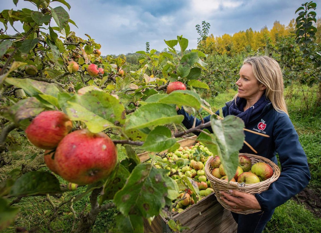 County Armagh: Tur fra blomst til flaske med smagning