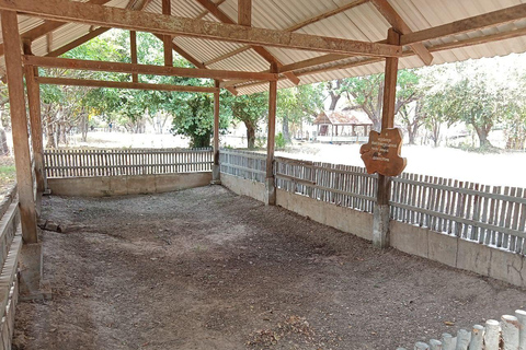 Excursion d&#039;une demi-journée au musée de la prison génocidaire S21 et au champ de la mort