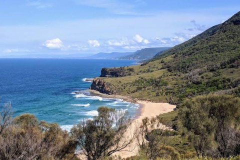 Sydney: Jednodniowa wycieczka do basenów Figure Eight Pools z wędrówką wzdłuż wybrzeża