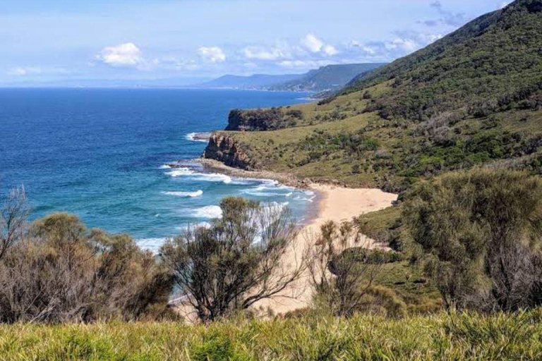 Sydney: Jednodniowa wycieczka do basenów Figure Eight Pools z wędrówką wzdłuż wybrzeża