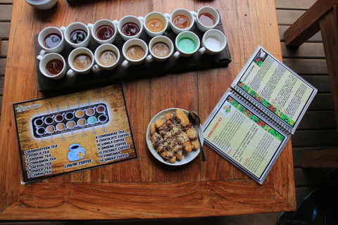 Ubud: Half-Day Tegallalang Electric Cycling Tour