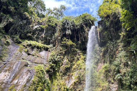 Arusha: Napuru Waterfall and Mount Meru Nature Walk
