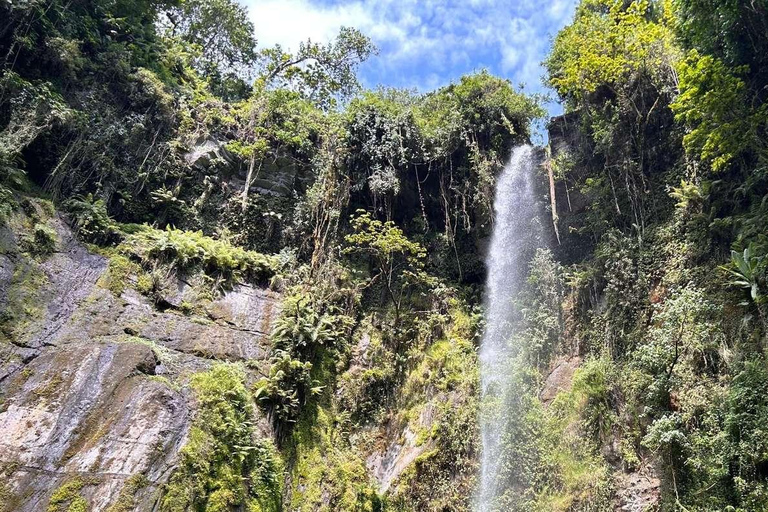 Arusha: Napuru Waterfall and Mount Meru Nature Walk