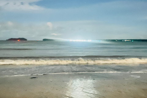Bahía Málaga: Pacific Experience, Ancestral Fire, and Bioluminescence