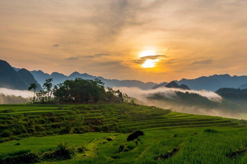 FRÅN HA NOI: UTFORSKA PU LUONG DAGSUTFLYKT