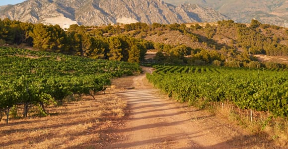 Salou: Siurana Castle and Cornudella Winery Tour