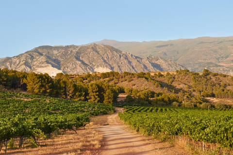 Barcelone : Visite du château de Siurana et du vignoble de Cornudella