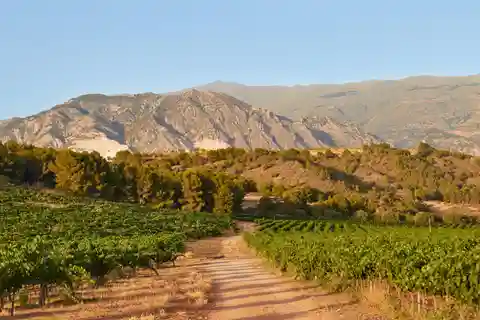 Salou: Kasteel Siurana en wijnmakerij Cornudella Tour