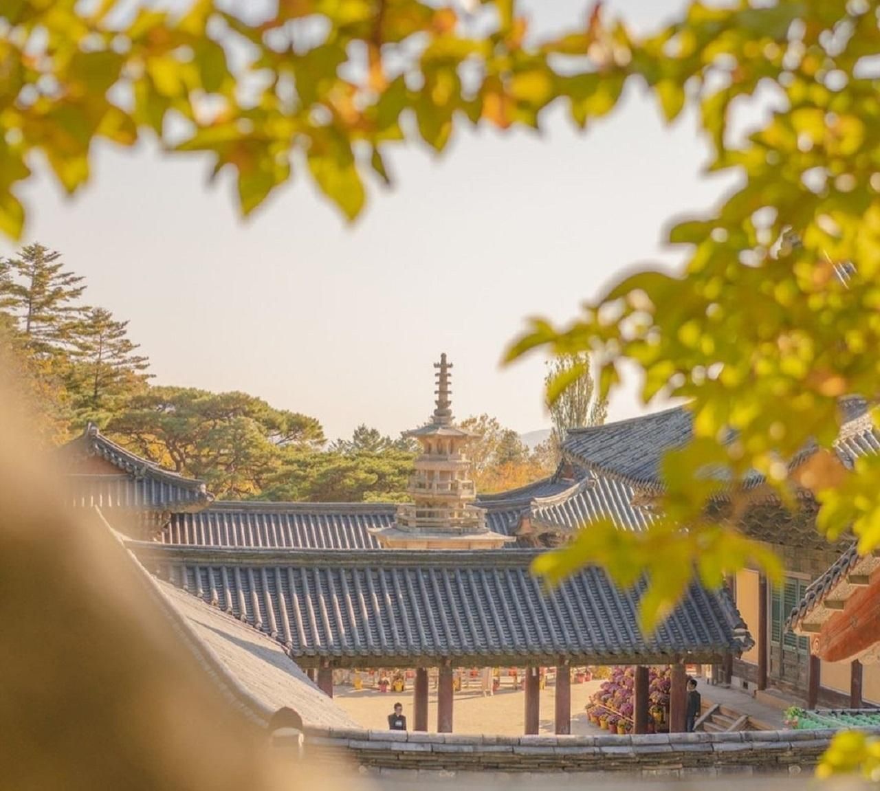 Gyeongju: private Tour mit einem lizenzierten Tourguide