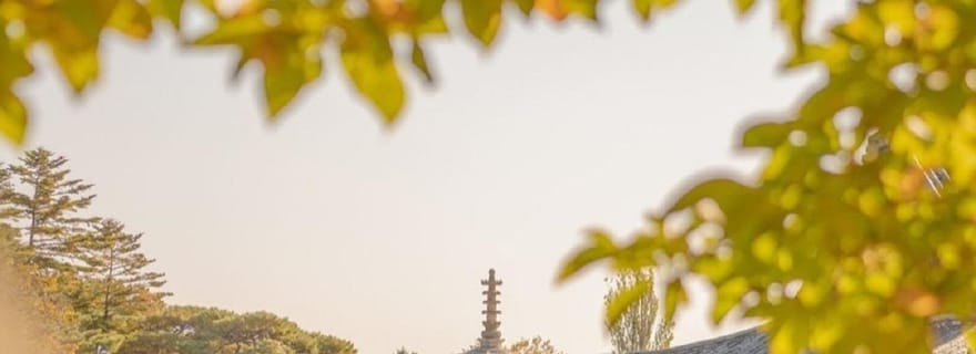 Gyeongju : visite en voiture privée avec un guide agréé