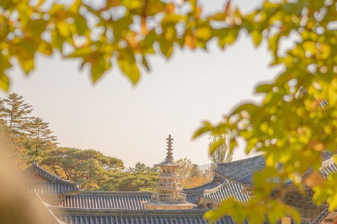 Gyeongju Private Car Tour with a Licensed Tour GuideGyeongju 4-Hour Private Tour