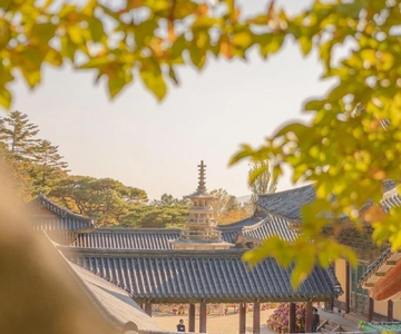 Gyeongju Private Car Tour with a Licensed Tour Guide