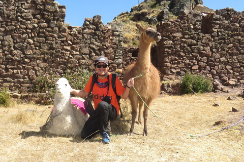 Da Cusco: Trekking con i lama