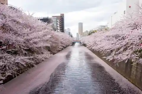 Asakusa : explorez la baie et les canaux de Tokyo en jet-ski