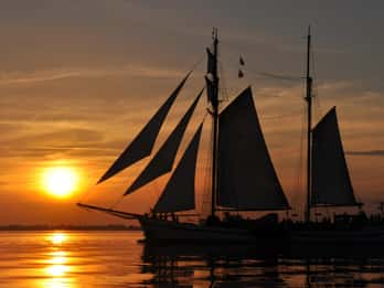 Usedom: Sailing tour on exclusive tall ship Thursday