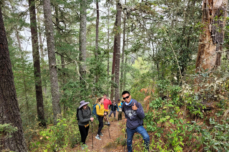 Oaxaca: Sierra Norte Hike & Indigenous Village