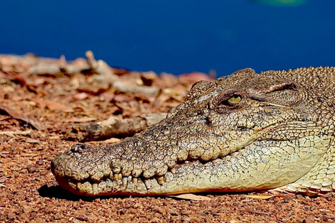 Darwin: Kakadu National Park & Wildlife Full Day Tour Kakadu National Park Tour with Crocodile Cruise