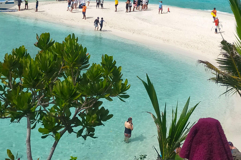 Cebu: 2-Day Private Tour Moalboal and Oslob