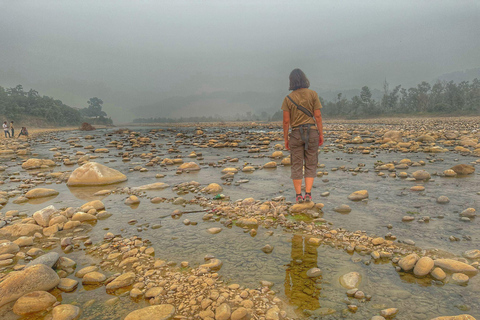 Mumbai to Jim Corbett: 2-Day Safari Adventure via DelhiTour without flights &amp; Hotel