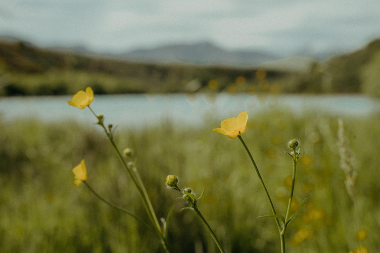 Queenstown: Riverside Sauna and Cold Plunge Experience
