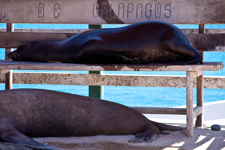 5-Day Galápagos Wildlife & Island Discovery