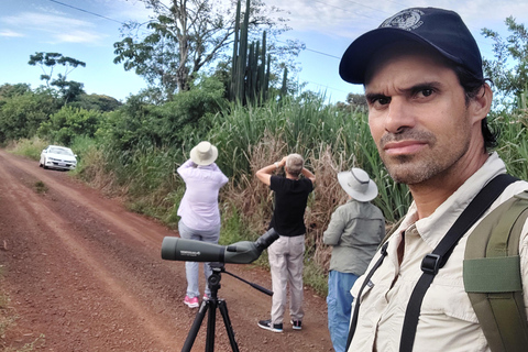 Observation des oiseaux et du côté brésilien des chutes.