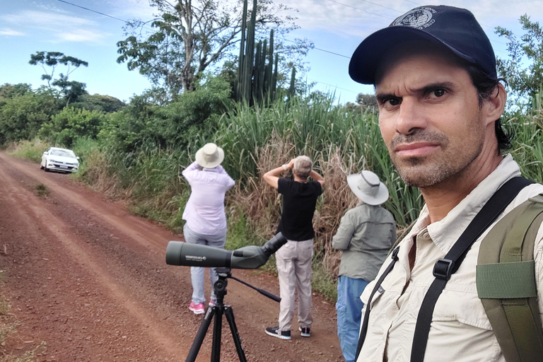 Observation des oiseaux et du côté brésilien des chutes.