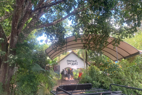 Foz do Iguaçu: Falls, Bird Park, and Macuco Safari Tour