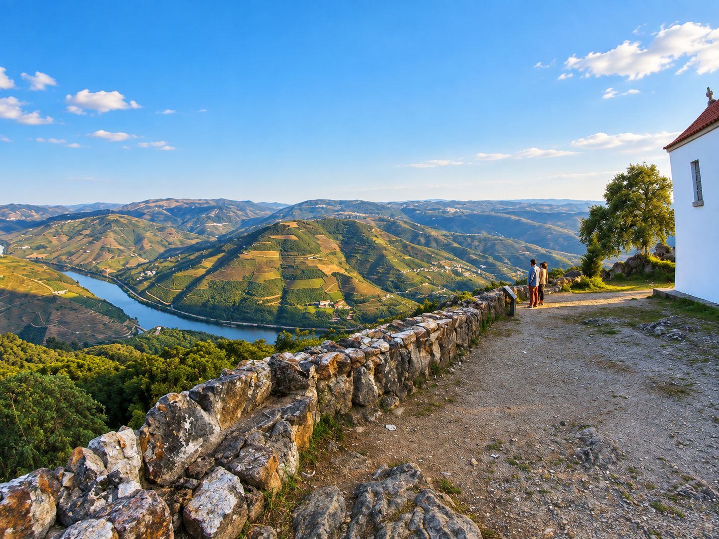 Douro-Tal: Private Halbtages-Weintour ab Porto