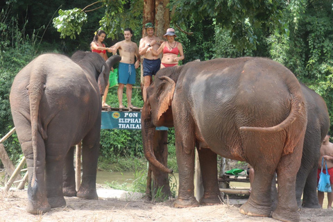 Chiang Mai: Elephant Sanctuary, Waterfall and Rafting Tour Hotel Pickup