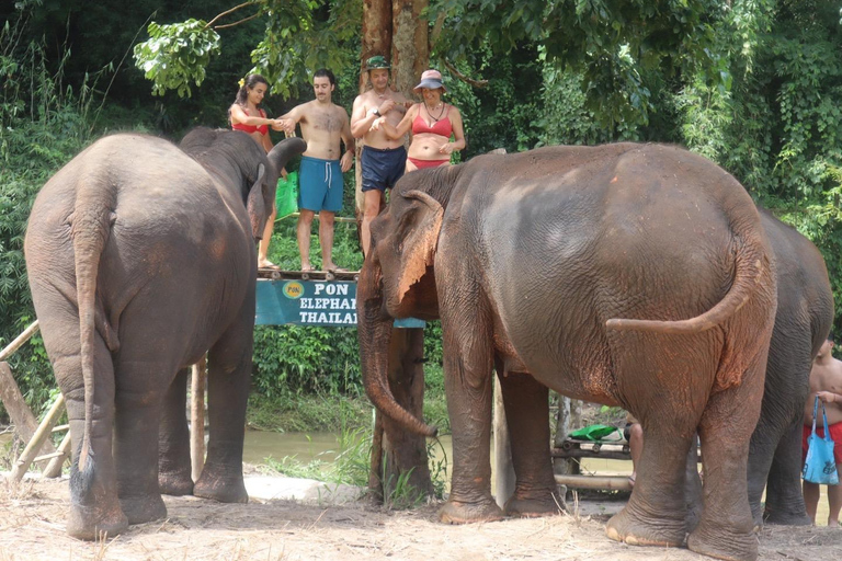 Chiang Mai: Santuario de Elefantes, Cascada y Excursión en RaftingServicio de recogida del hotel