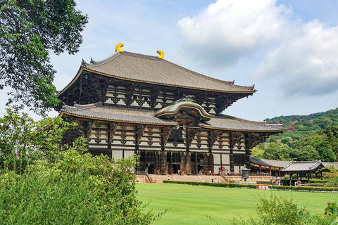 A Thousand Blossoms & Deer: Nara Spring Day Tour