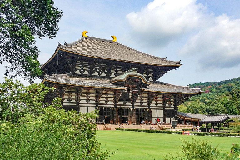 A Thousand Blossoms & Deer: Nara Spring Day Tour