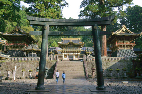 Tokyo: Nikko Luxury Private Day Tour with English guide