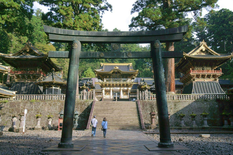 Tokyo: Nikko Luxury Private Day Tour with English guide