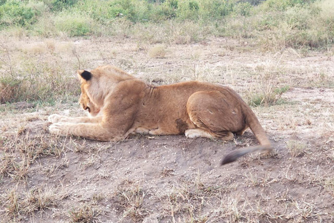 Kampala: Lake Mburo Safari with Boat Cruise & Game Drive