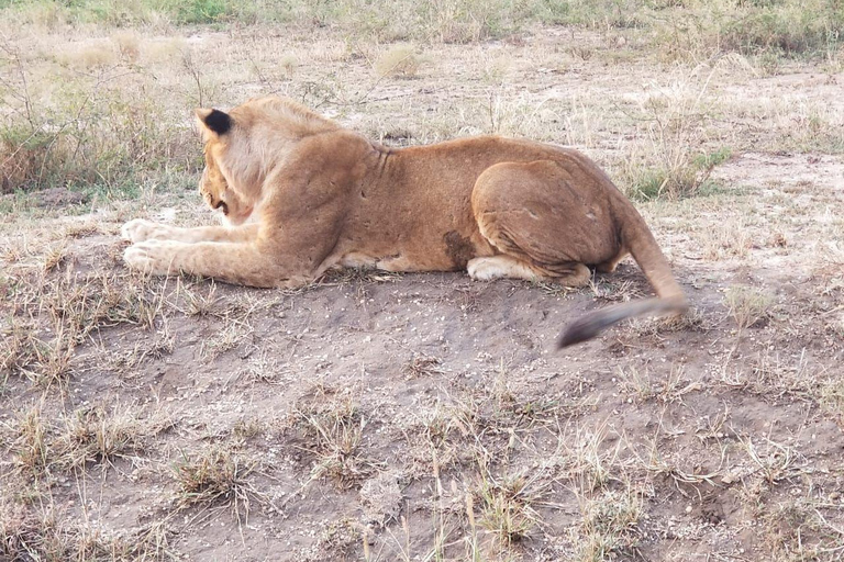 Kampala: Lake Mburo Safari with Boat Cruise & Game Drive