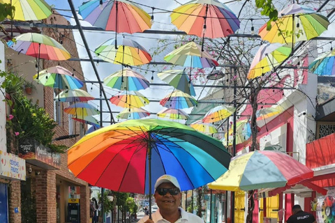 Puerto Plata: Monkey home, Damajagua Waterfalls & City Tour