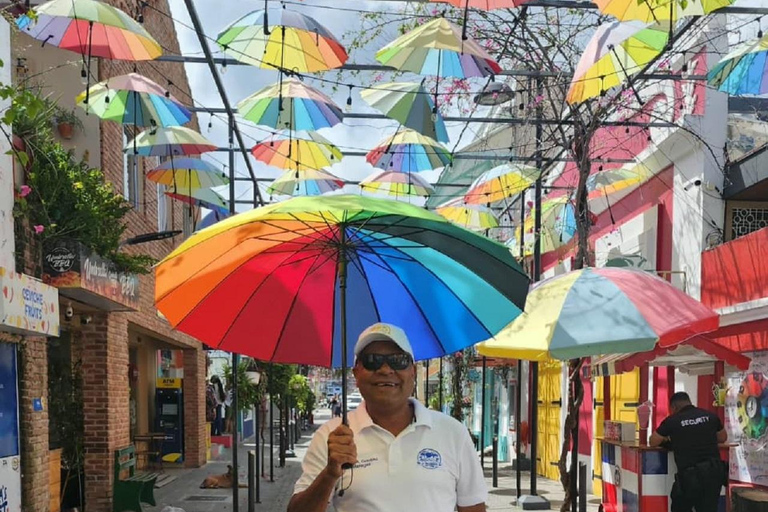 Puerto Plata: Monkey home, Damajagua Waterfalls & City Tour