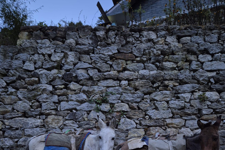 14-Day EBC Trek with Sherpa-Led Culture & Food Experience