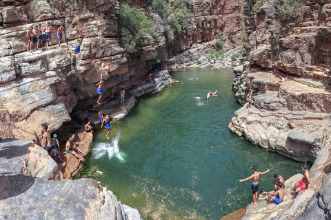 Agadir/Taghazout: Paradise Valley Halvdagsutflykt med lunchRundtur med lunch