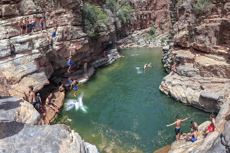 Agadir/Taghazout: Paradise Valley Halvdagsutflykt med lunchRundtur med lunch