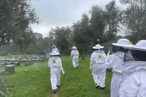 Évora or Montemor: Beekeeping, Chocolate factory, Wine tasting