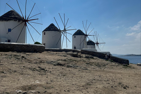 Excursión de lujo a Mykonos para cruceristas