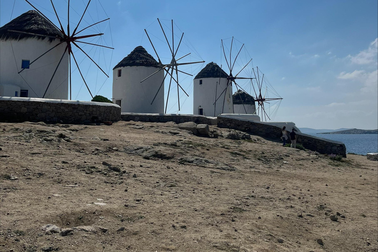 Visite de luxe de Mykonos pour les croisiéristes