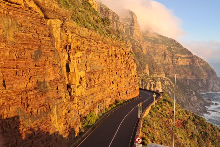 Cape Town: Table Mountain, Noordhoek, and Cape of Good hope