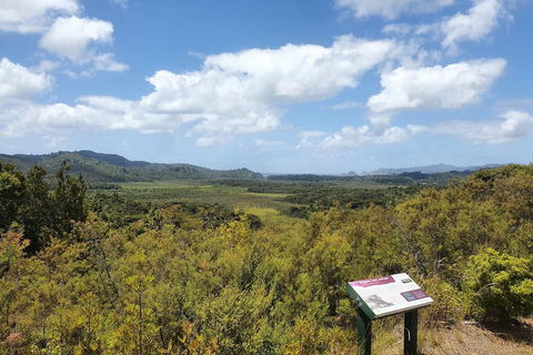 Gran Barrera: Remojo y Paseo Privado por las Aguas Termales de Kaitoke