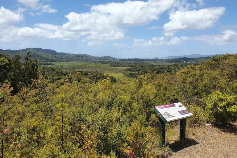 Gran Barrera: Remojo y Paseo Privado por las Aguas Termales de Kaitoke